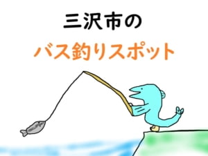 三沢市のバス釣りスポットをご紹介 沼 野池 うおとぶろぐ