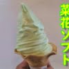 道の駅よこはまの『菜花ソフトクリーム』を食べてみた【菜の花の味は・・・】