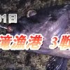夏泊半島：東滝漁港の夜釣り3戦目【ついに出るか大物！？】