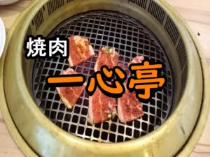 十和田の 一心亭 で焼き肉ランチを食べる 青森の焼肉チェーン店 うおとぶろぐ